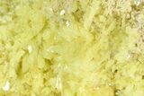 Sulfur Crystal Cluster on Matrix - Nevada #129736-2